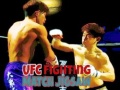 游戏UFC 格斗比赛拼图在线