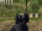 游戏军队射手在线