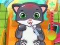 游戏猫医生在线