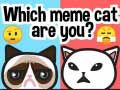 游戏你是哪只迷因猫？在线