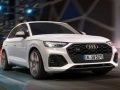 游戏奥迪 SQ5 TDI 滑行在线