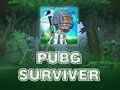 游戏PUBG 幸存者在线