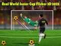 游戏真实足球世界杯 Flicker 3D 2023在线