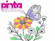 游戏Pinta 颜色在线