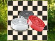 游戏经典跳棋：森林在线