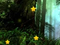 游戏隐藏的星星在线