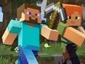游戏Minecraft 隐藏物品在线