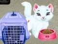 游戏宝贝泰勒的宠物护理在线