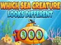 游戏哪种海洋生物看起来不同在线