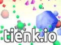 游戏tienk.io在线