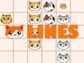 游戏猫线在线