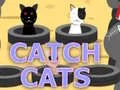 游戏抓猫在线