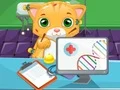 游戏猫医生在线