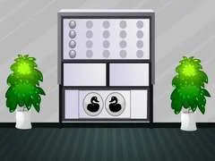 游戏白宫逃脱在线