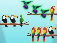 游戏鸟类排序挑战在线 游戏鸟类排序挑战在线