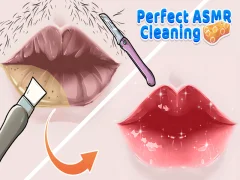 游戏完美的ASMR清洁在线
