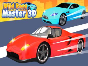 游戏野生比赛大师3D在线