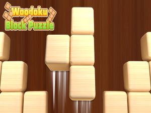 游戏Woodoku块拼图在线