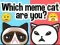 游戏你是哪只迷因猫？在线