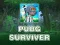 游戏PUBG 幸存者在线