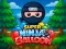 游戏Super Ninja Balloon在线
