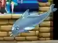 游戏我的海豚秀6在线 游戏我的海豚秀6在线
