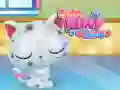 游戏可爱的小猫护理在线 游戏可爱的小猫护理在线