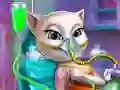 游戏小猫任务：事故 ER在线