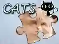 游戏拼图：猫在线