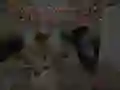 游戏夜间守卫的故事:僵尸医院在线 游戏夜间守卫的故事:僵尸医院在线