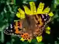 游戏拼图:春天在线 游戏拼图:春天在线