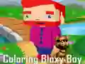 游戏给Bloxy男孩上色在线 游戏给Bloxy男孩上色在线