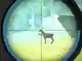 游戏猎人训练在线