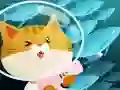 游戏钓鱼猫在线在线 游戏钓鱼猫在线在线