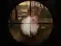 游戏经典兔子狙击手狩猎2019在线 游戏经典兔子狙击手狩猎2019在线