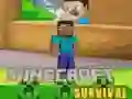 游戏Minecraft 生存在线 游戏Minecraft 生存在线