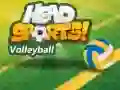 游戏Head Sports 排球在线 游戏Head Sports 排球在线