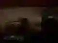 游戏可怕的丛林野生动物园在线 游戏可怕的丛林野生动物园在线