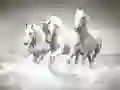 游戏马拼图在线