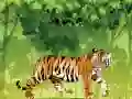 游戏愤怒的老虎涂色在线