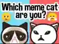 游戏你是哪只迷因猫?在线 游戏你是哪只迷因猫?在线