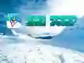 游戏滑雪跳在线 游戏滑雪跳在线