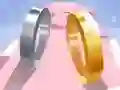 游戏爱的戒指3D在线 游戏爱的戒指3D在线