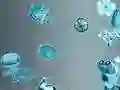 游戏贴纸侦探在线 游戏贴纸侦探在线