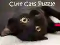 游戏可爱猫咪拼图在线 游戏可爱猫咪拼图在线