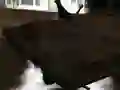 游戏漂移 Z在线 游戏漂移 Z在线