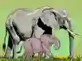 游戏野生动物及其宝宝在线