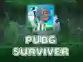游戏PUBG 幸存者在线 游戏PUBG 幸存者在线