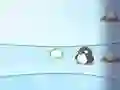 游戏雪人对企鹅在线