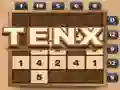 游戏TENX在线 游戏TENX在线